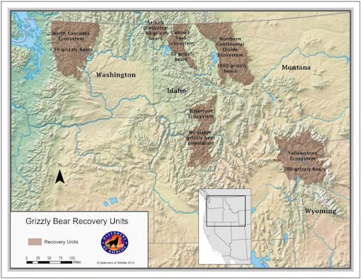 Grizzly bear population map