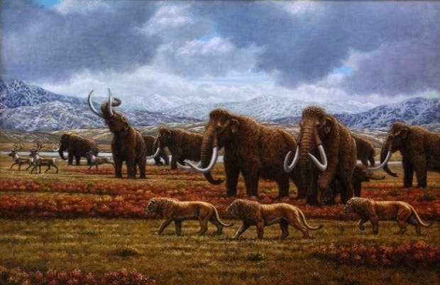 American lion and wooly mammoths.