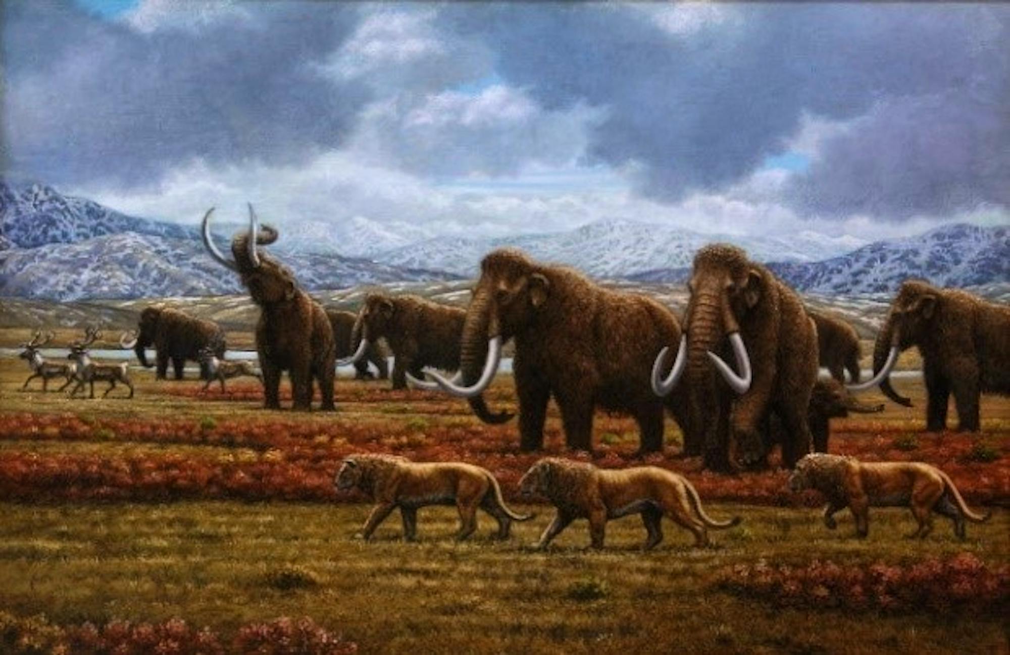 American lion and wooly mammoths.