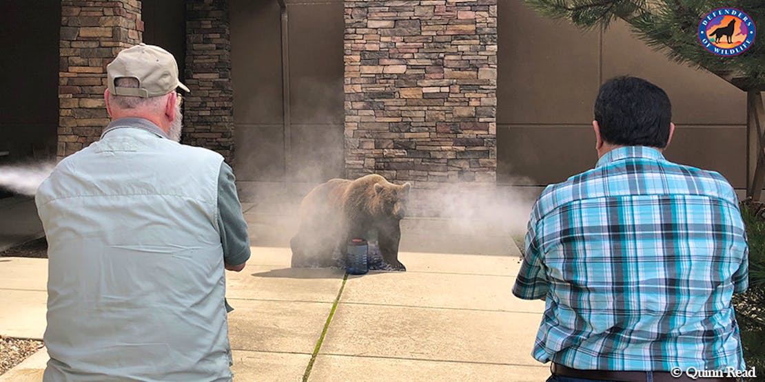 Bear spray training