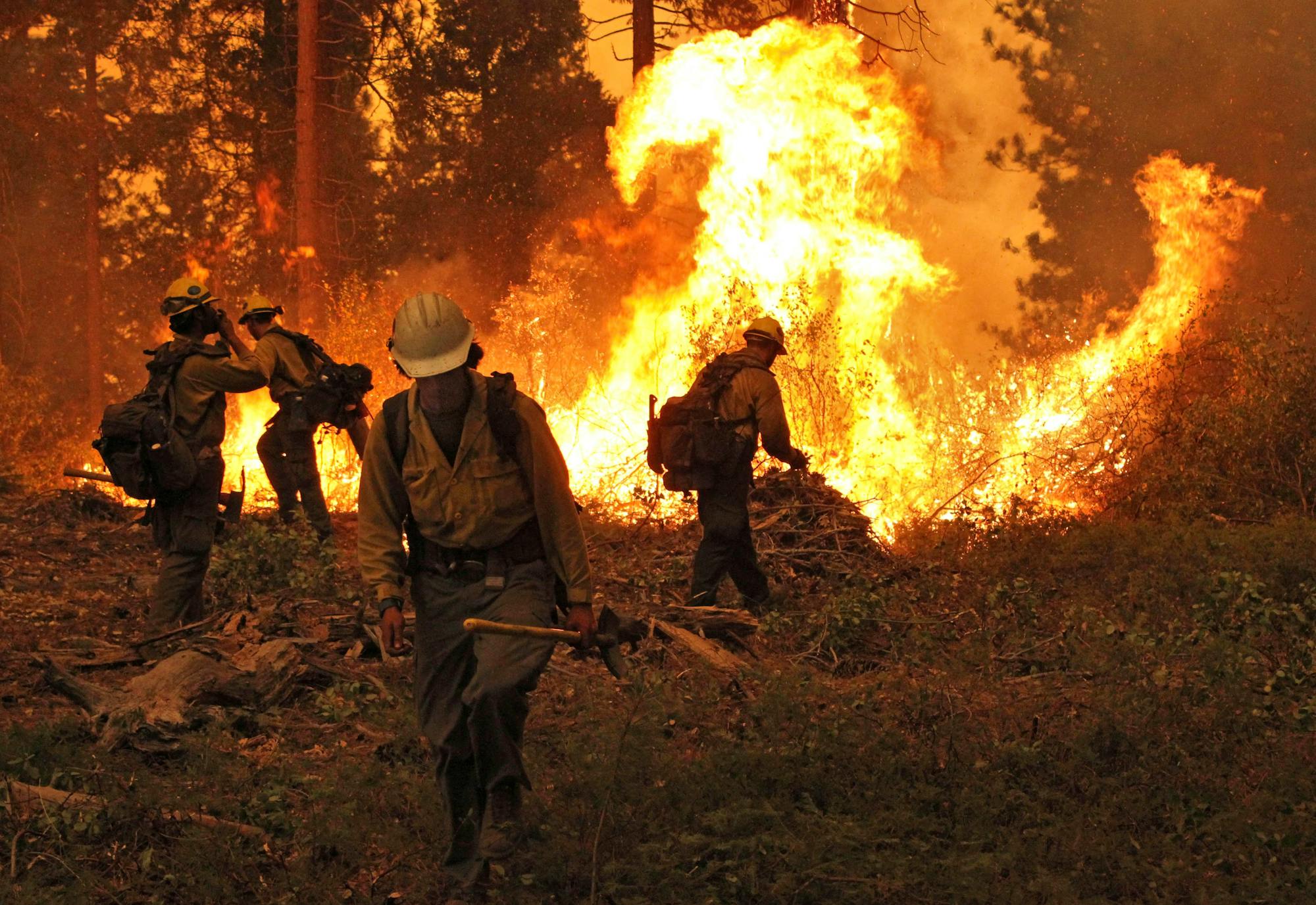 Rim Fire on the Stanislaus National Forest in California 2013