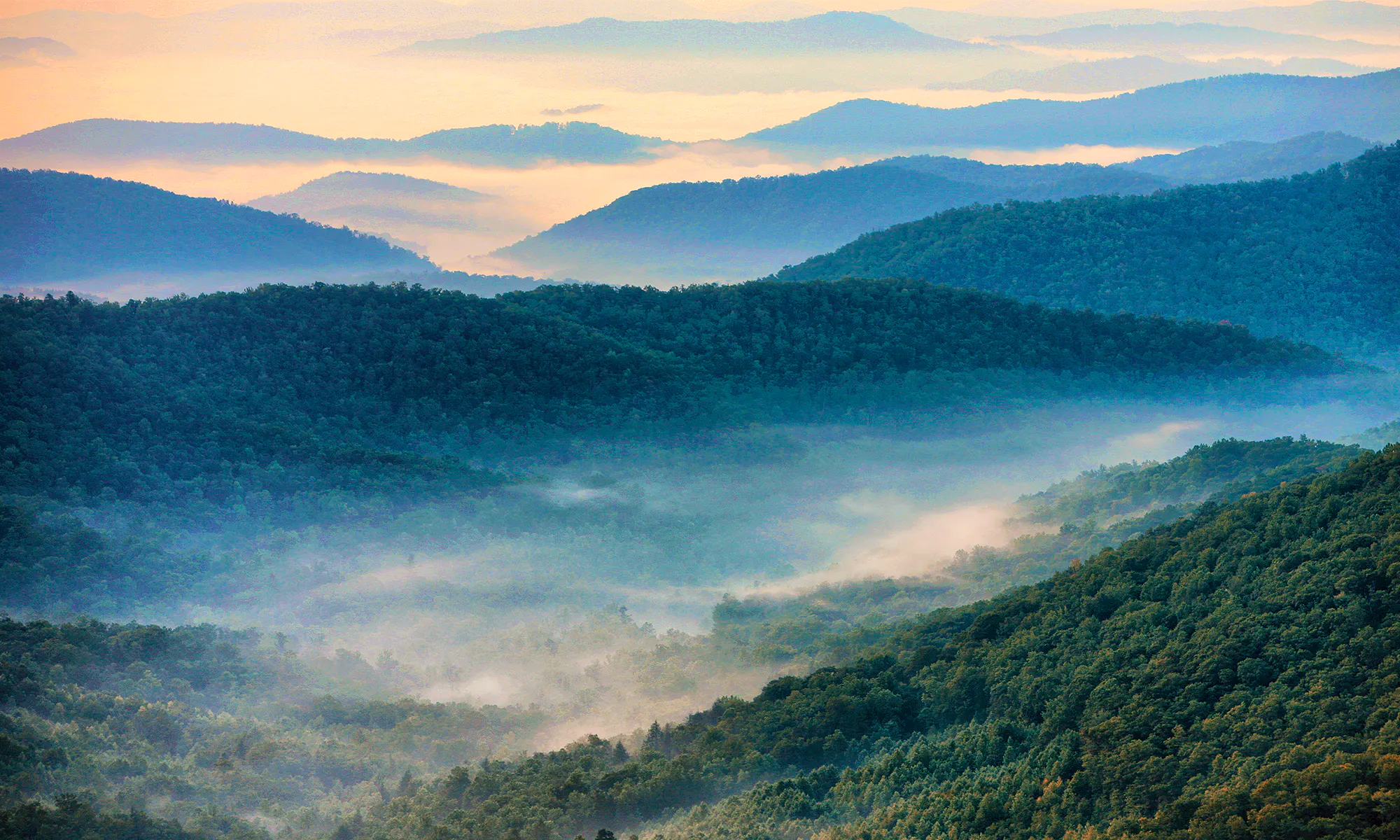 Southern Appalachians | Defenders of Wildlife