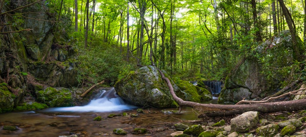 Rocky Fork SP