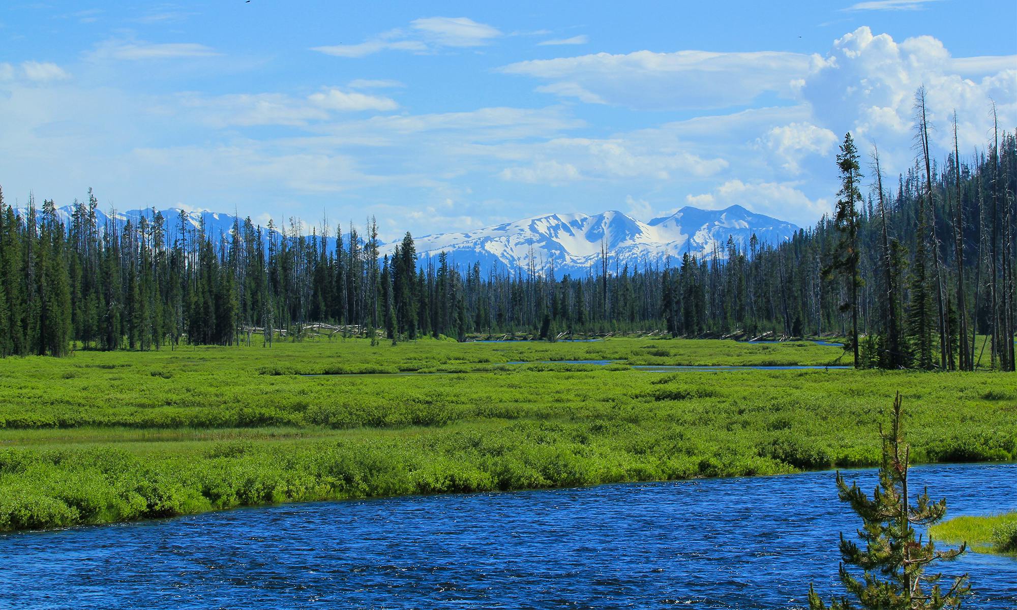 Yellowstone