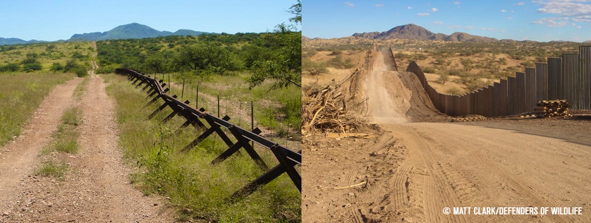 Border wall comparison Matt Clark/Defenders