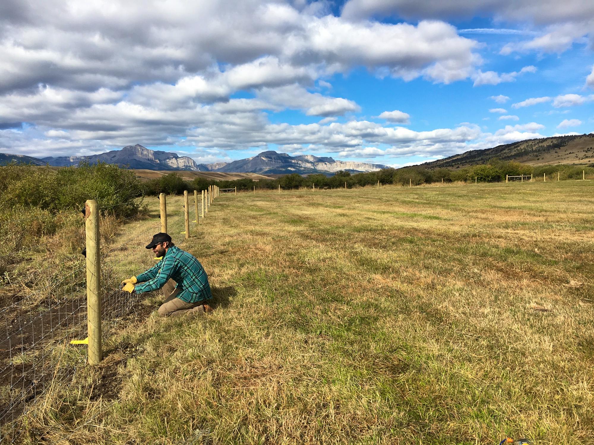 Installing fencing