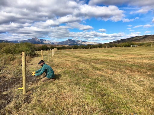 Installing fencing