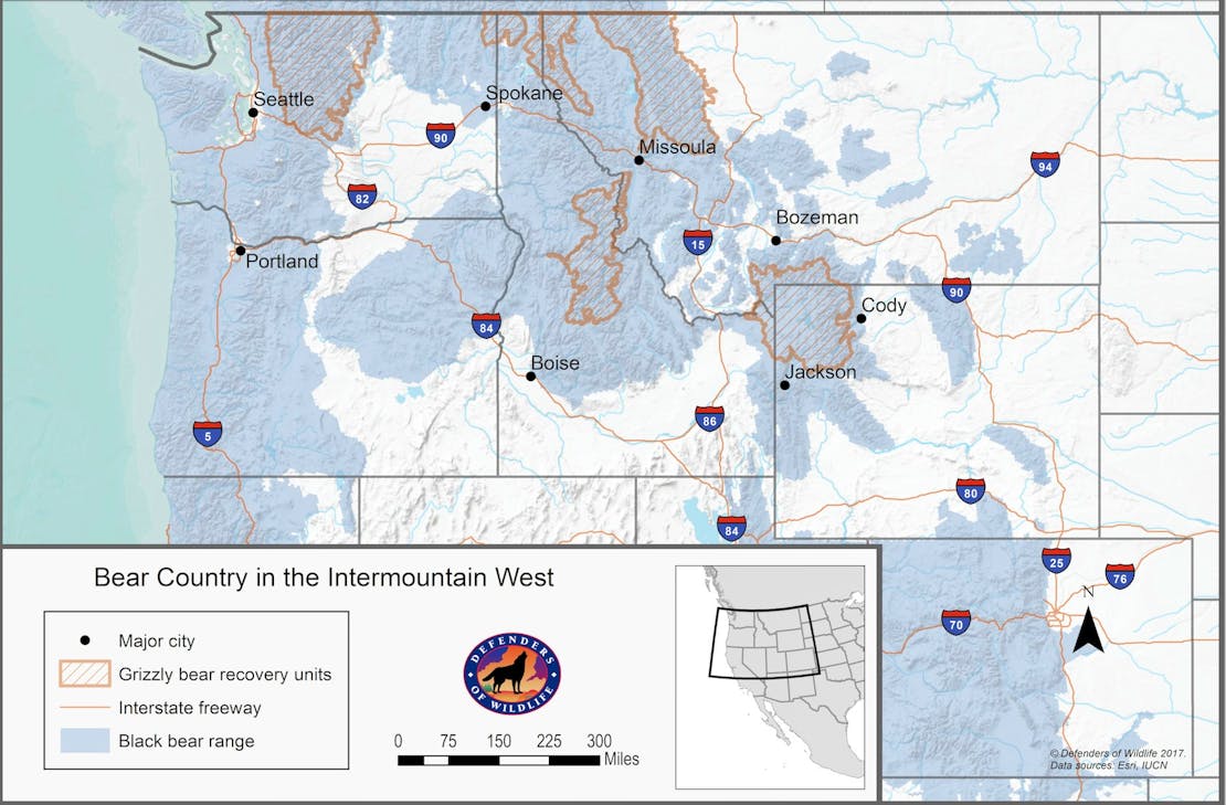 Bear country in the intermountain west