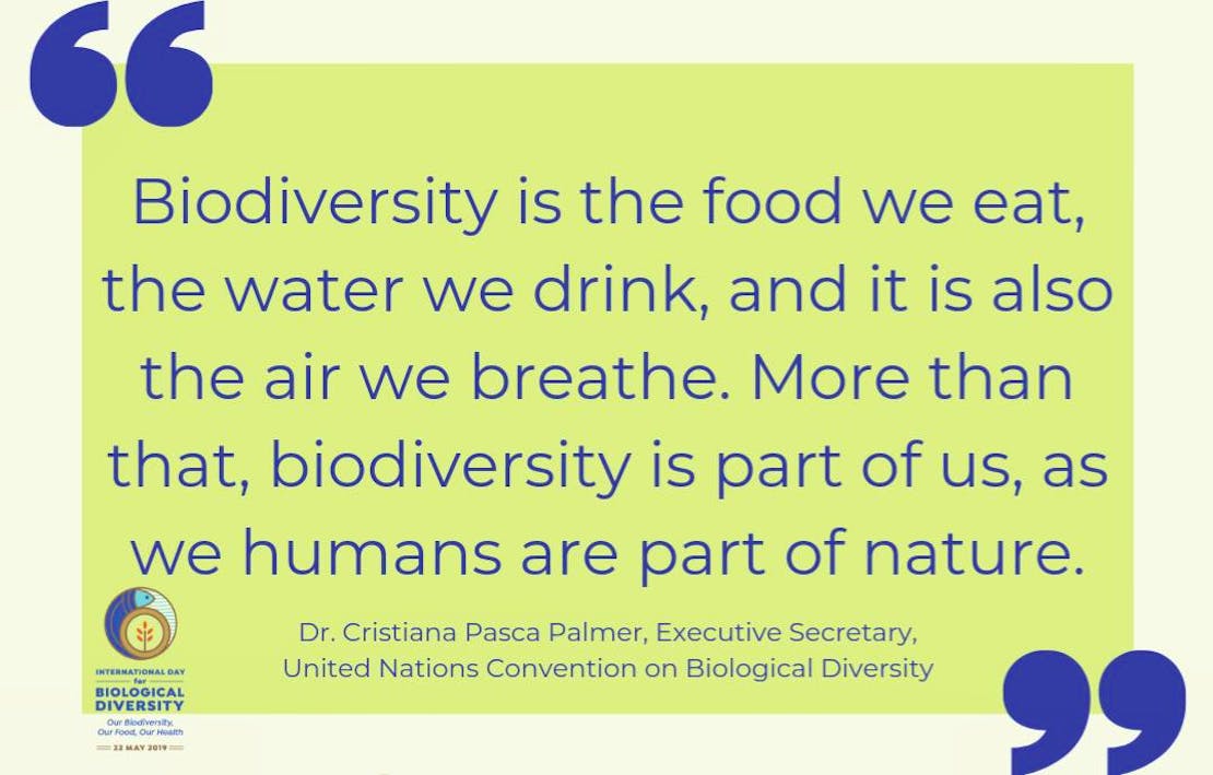 International Biological Diversity Day quote UN