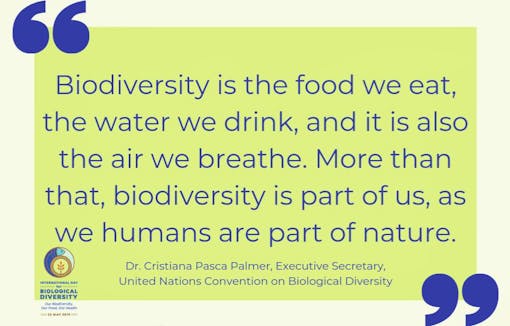 International Biological Diversity Day quote UN