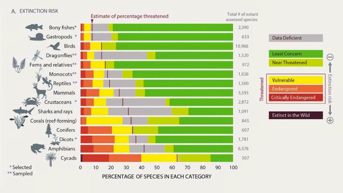 IPBES extinction risk graphic 2019