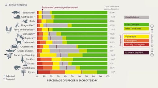 IPBES extinction risk graphic 2019