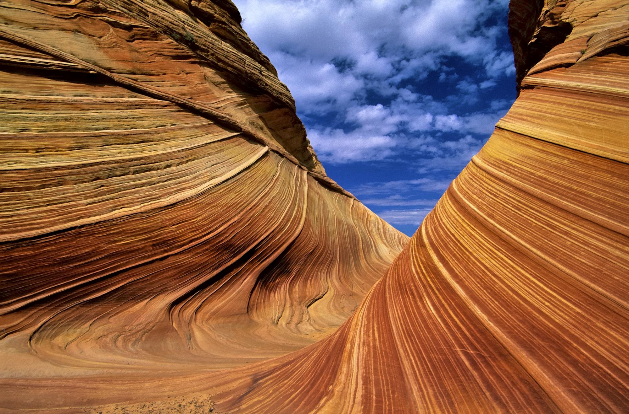 Rock Waves Vermillion Cliffs NM 