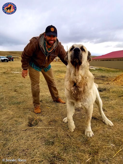 Russ with guard dog