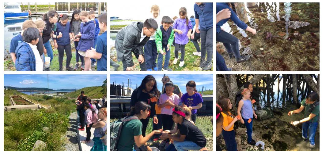 Students from Fern Hill and Blix explore Point Defiance and Commencement Bay