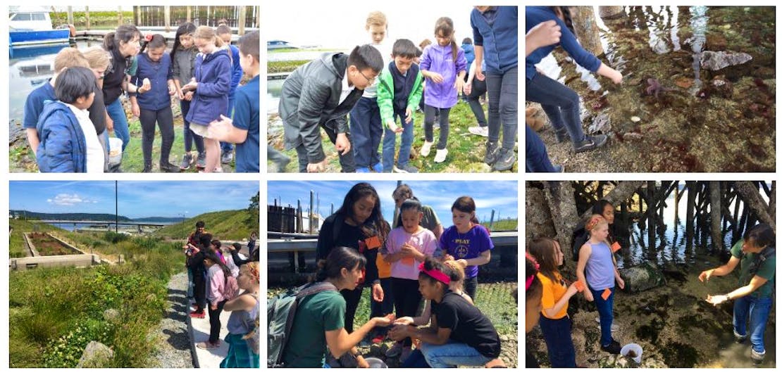 Students from Fern Hill and Blix explore Point Defiance and Commencement Bay