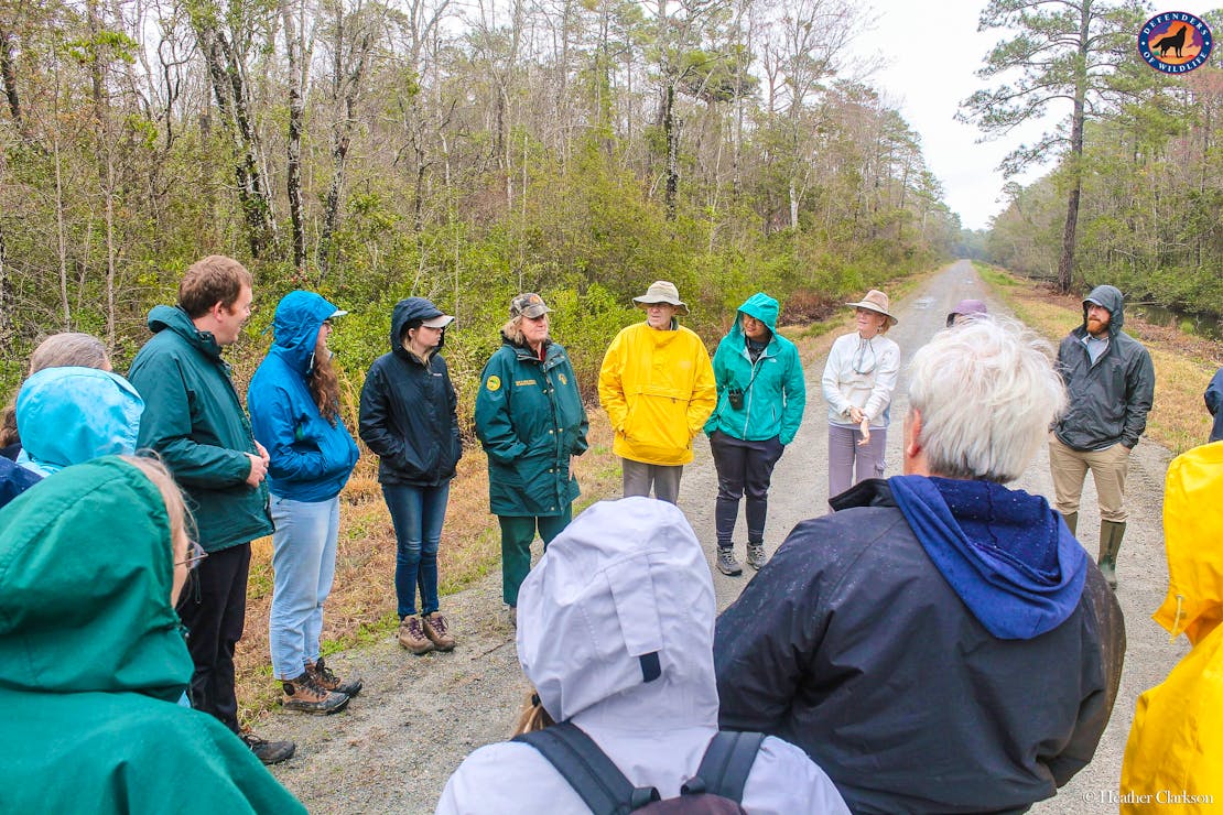 Group carnivore tracking event