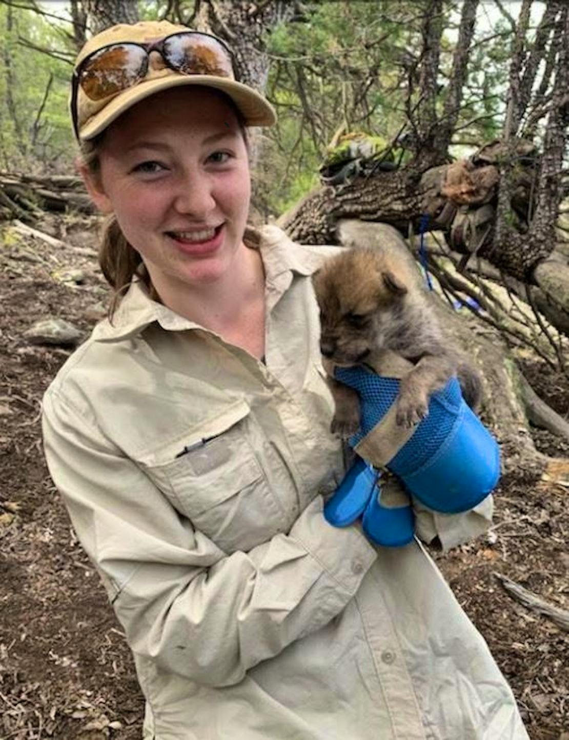 Mgw intern with a wolf pup