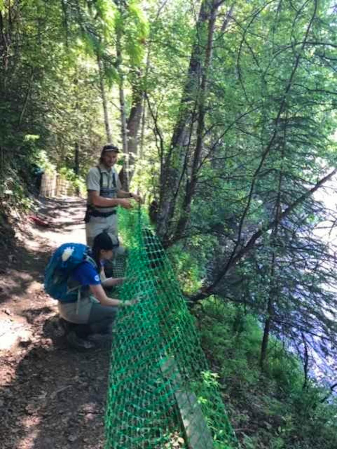 Repairing fencing