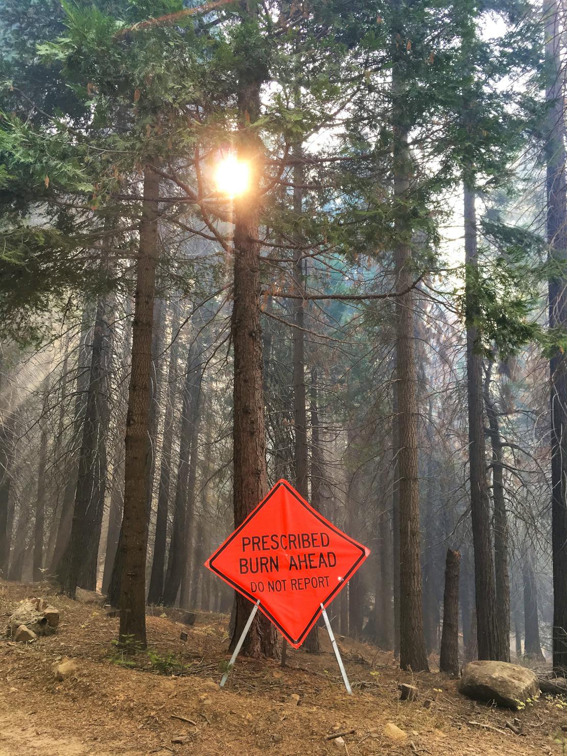 Prescribed burn sign 