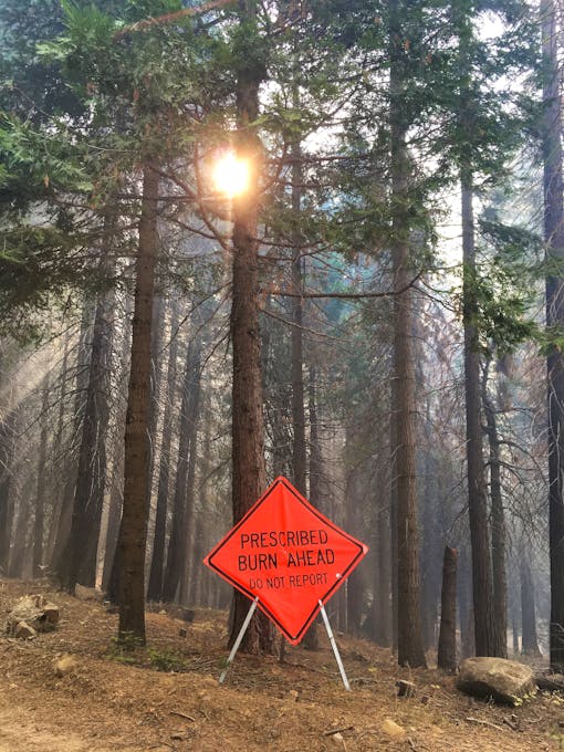 Prescribed burn sign 