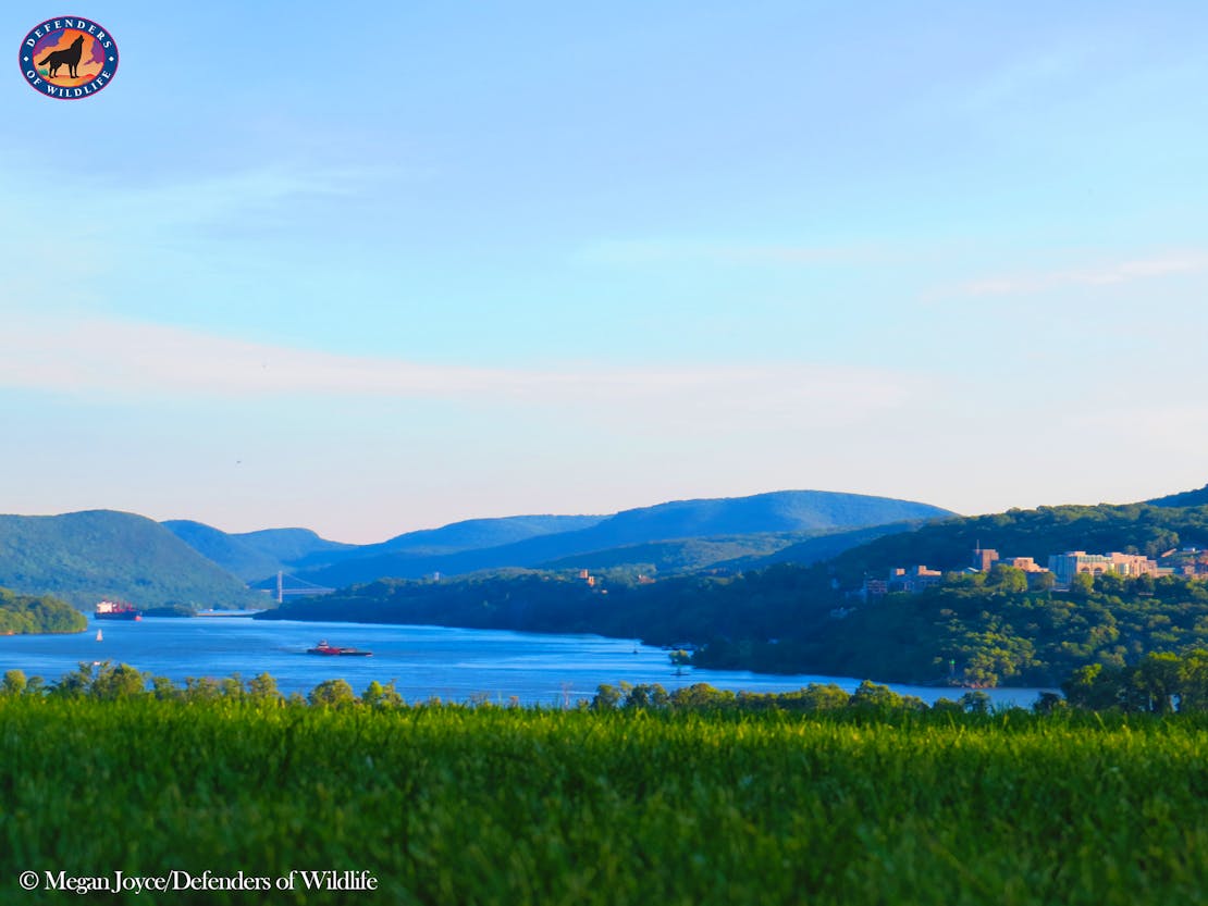 View from Boscobel, Hudson River 