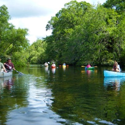 Wacissa River and Slave Canal kayaks