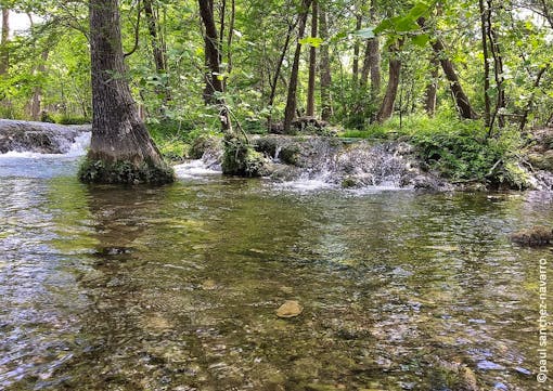 Cypress Creek Texas