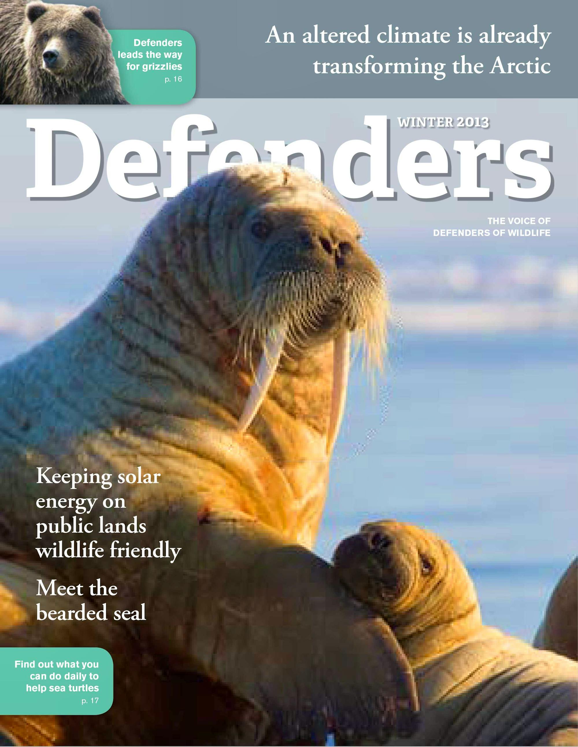 Winter 2013 Magazine Cover