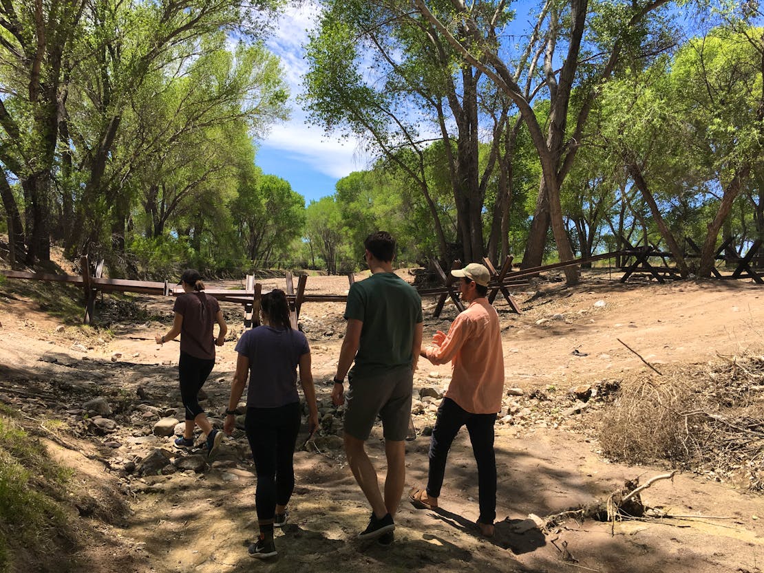 Walking through southern Arizona