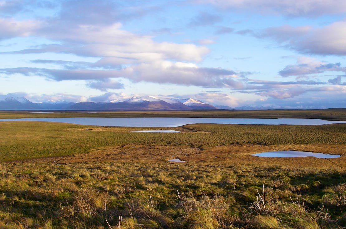 Fall Tundra Izembek NWR