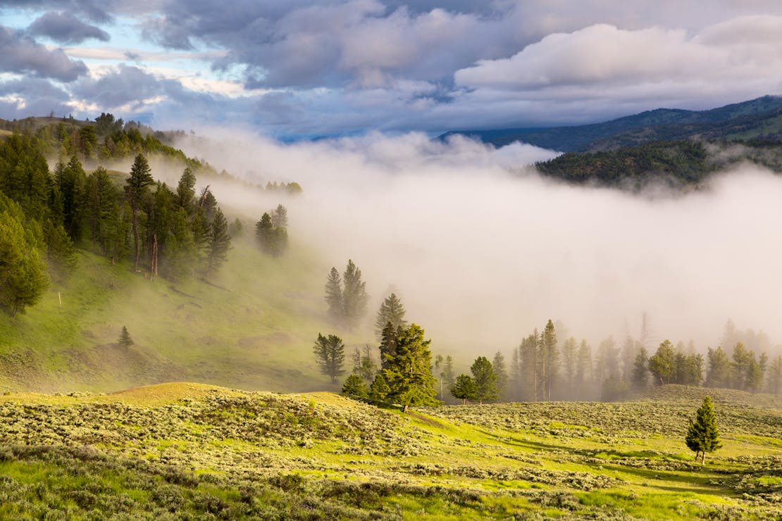 Morning fog in the Yellowstone River Valley