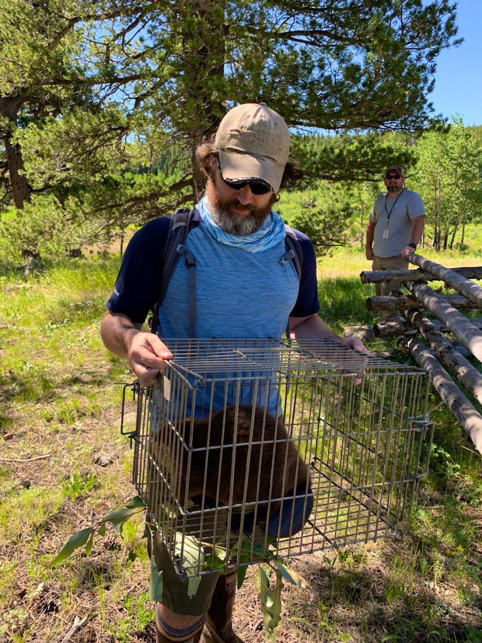 Aaron carrying beaver in cage