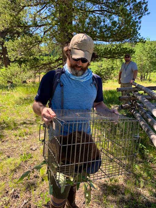 Aaron carrying beaver in cage