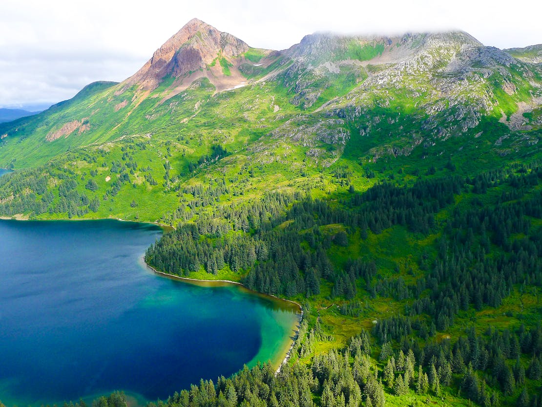 Red Peak, Kodiak Refuge with Sitka Spruce forests