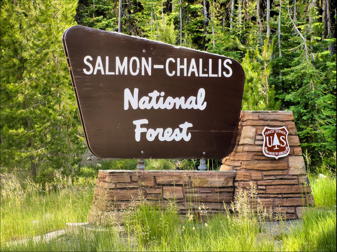 Salmon-Challis NF Sign 