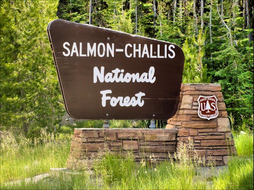 Salmon-Challis NF Sign 