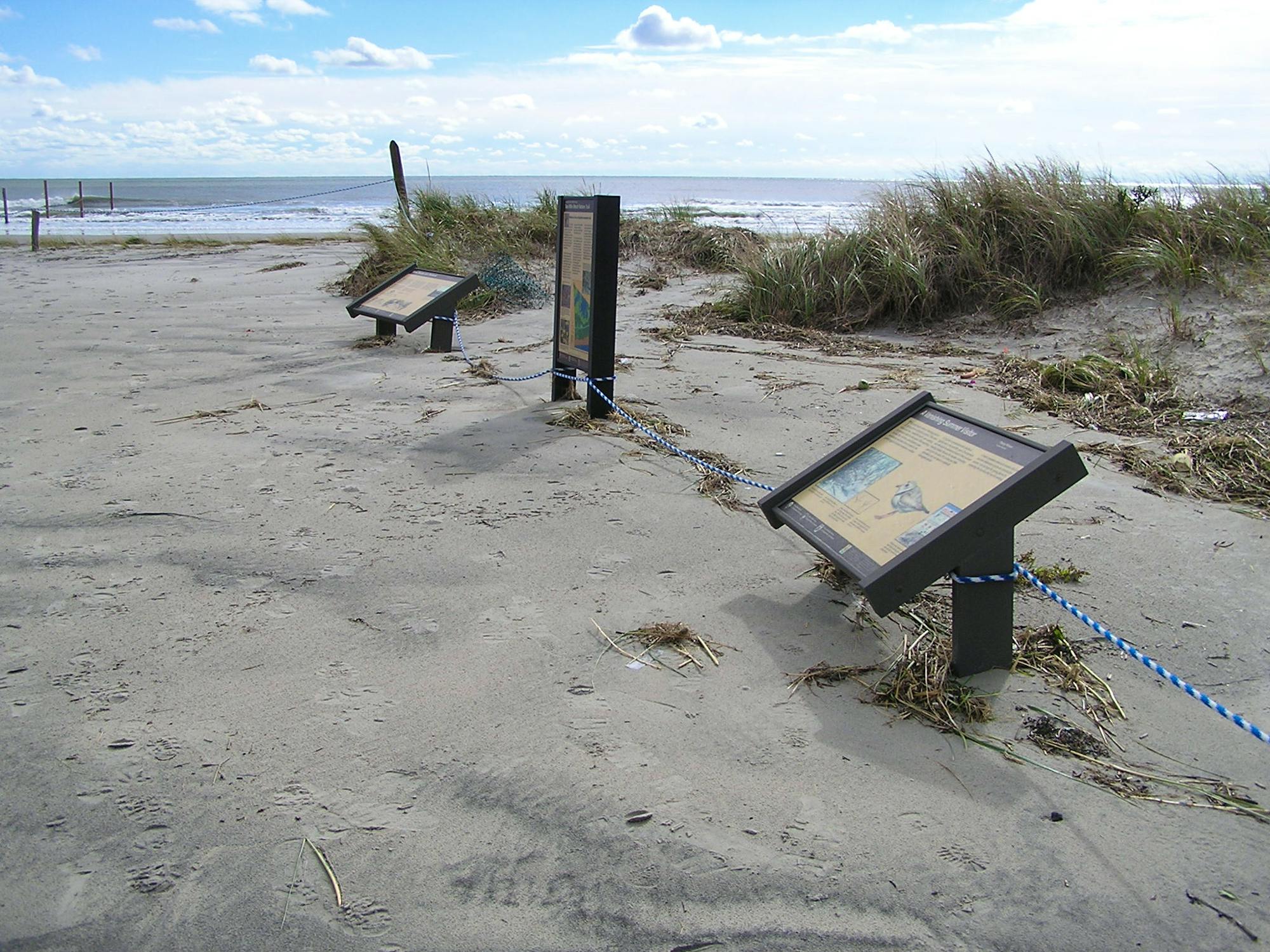 Hurricane Sandy damaged Cape May National Wildlife Refuge