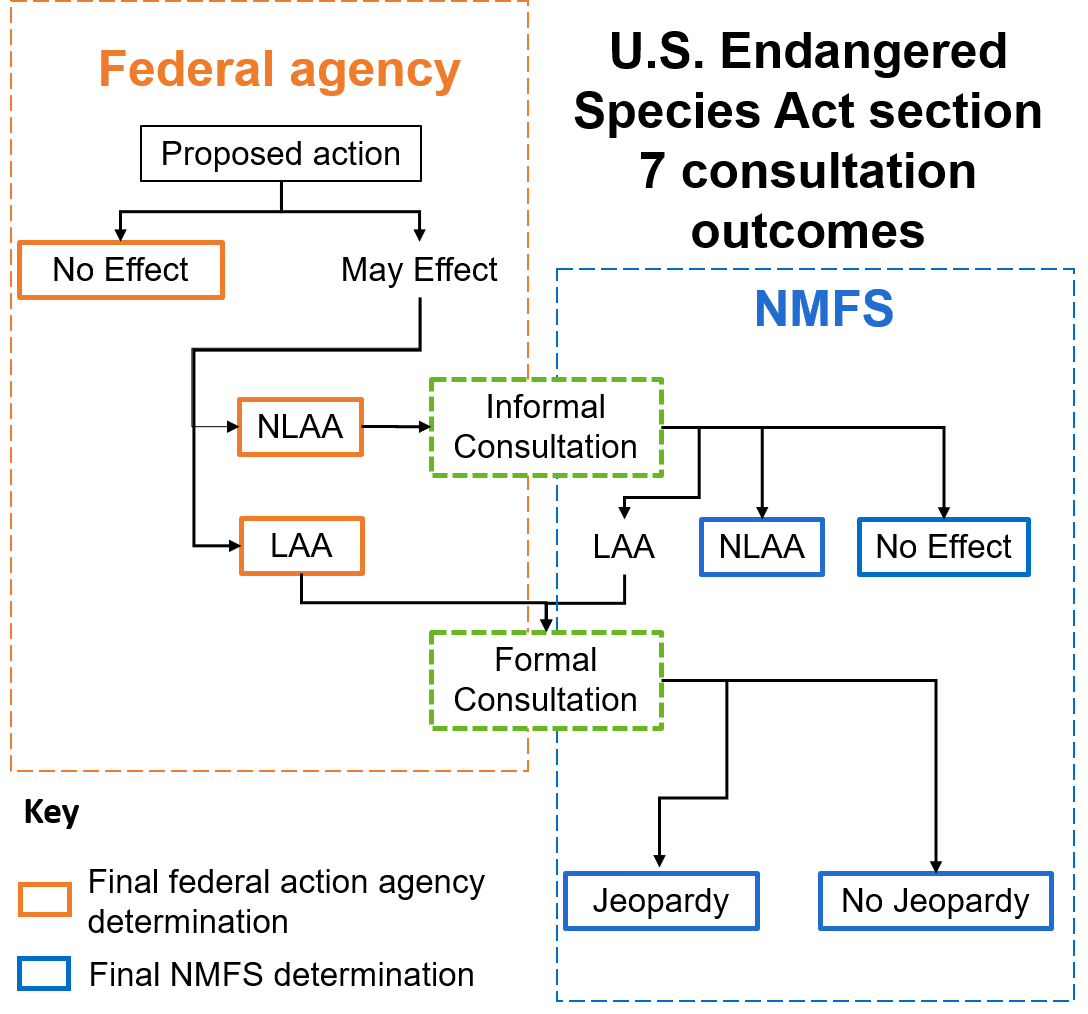 U.S. Endangered Species Act section 7 consultation outcomes