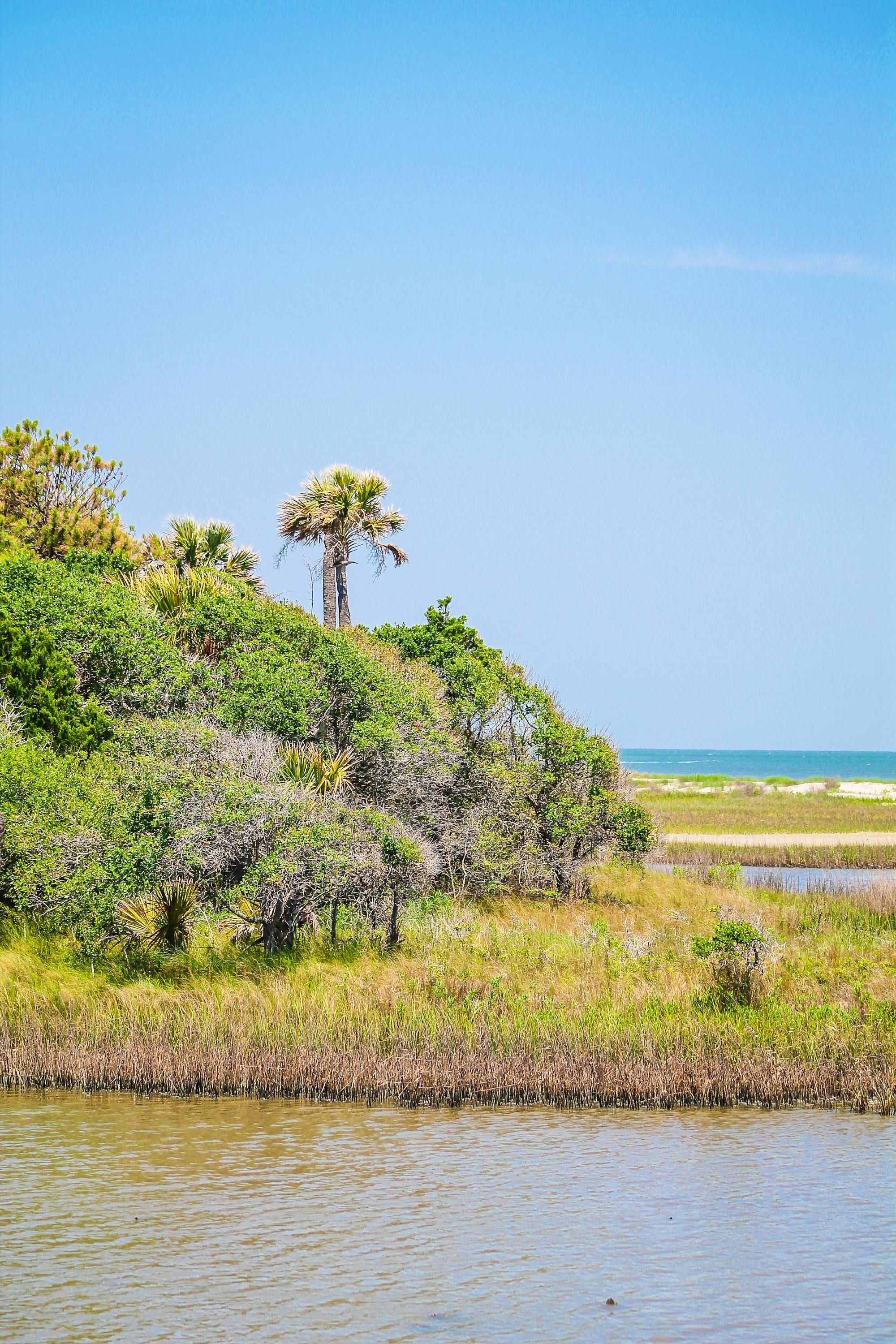 Cape Romain NWR