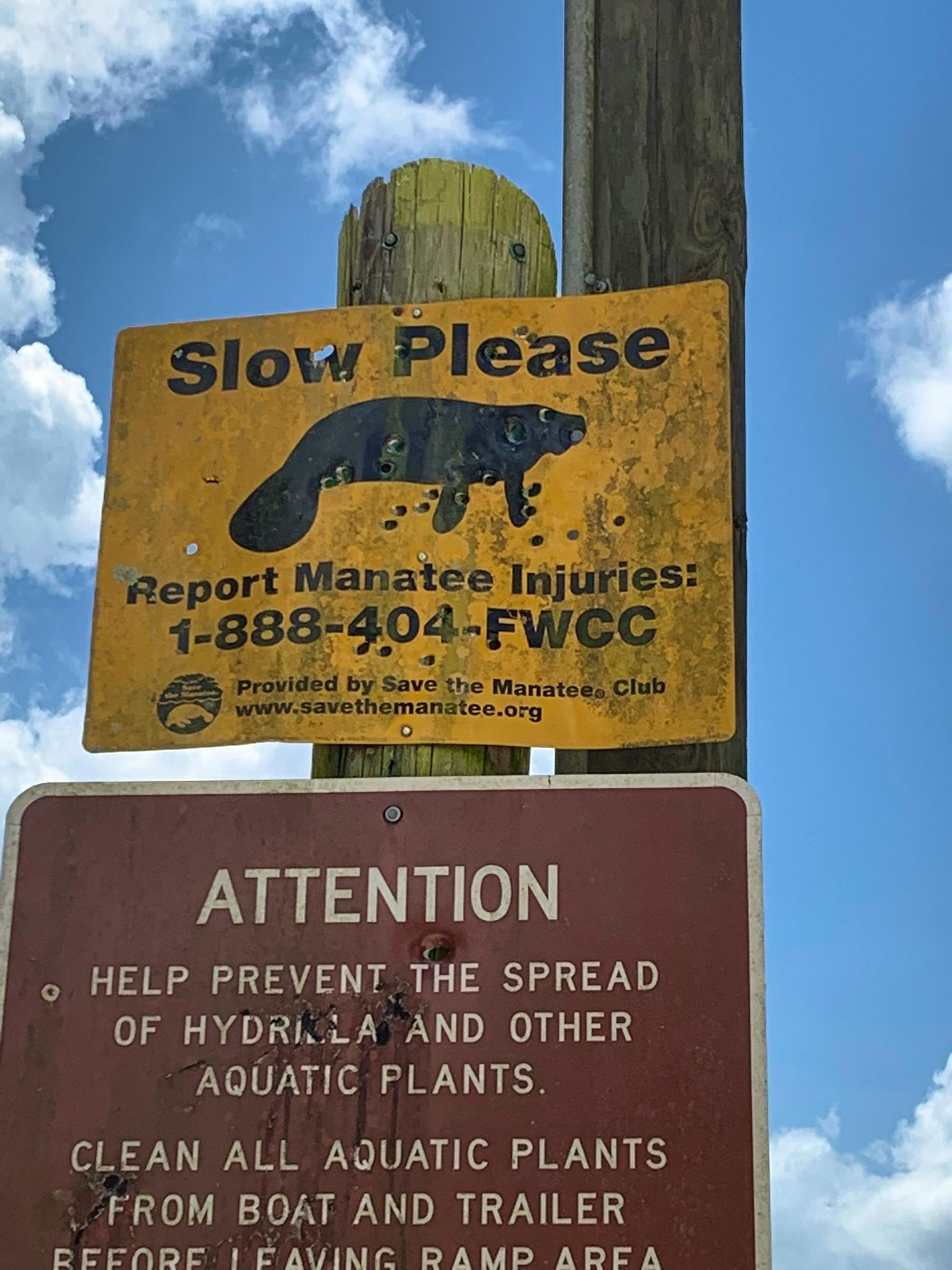 Manatee safety sign