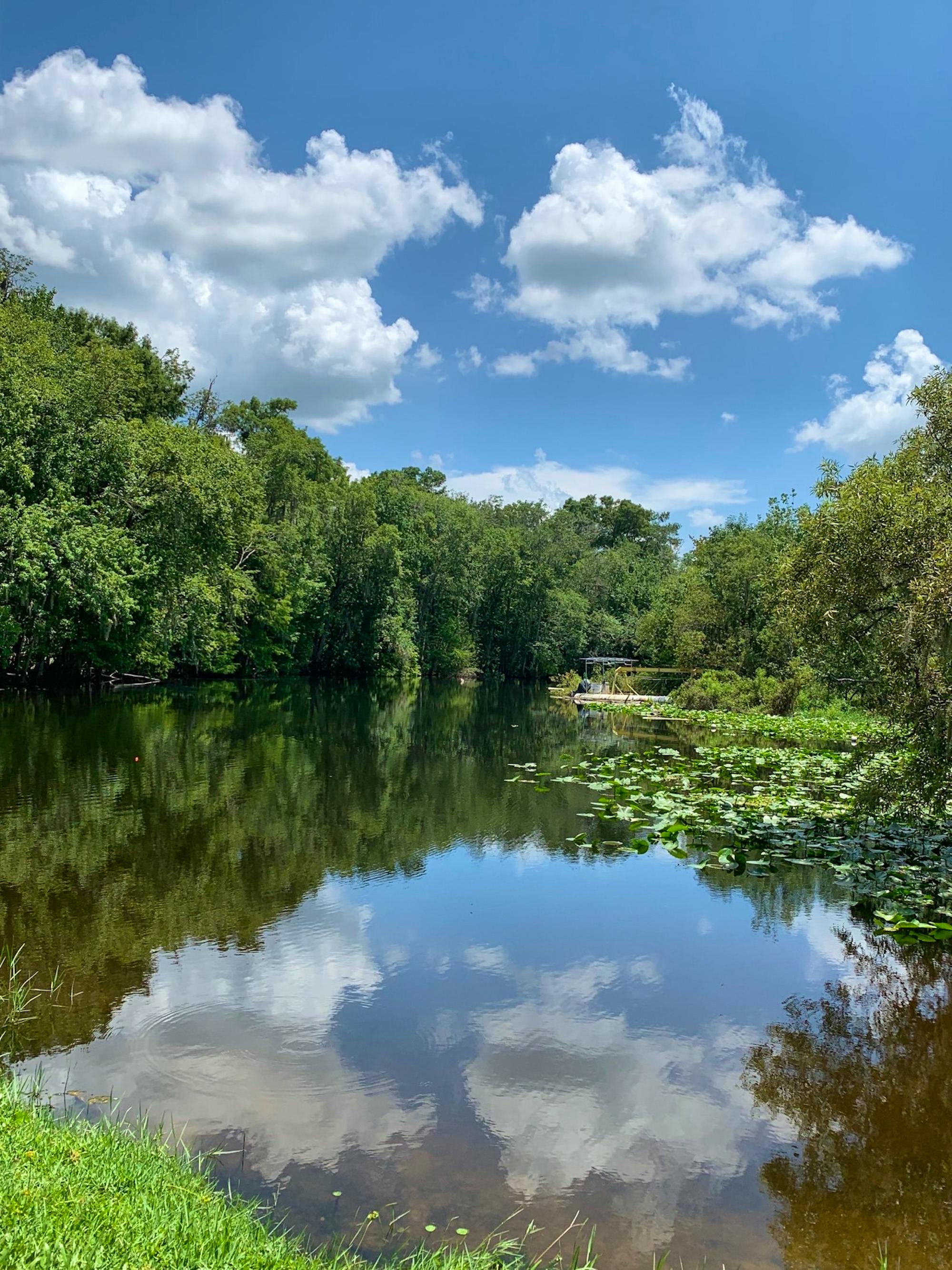 Ocklawaha River