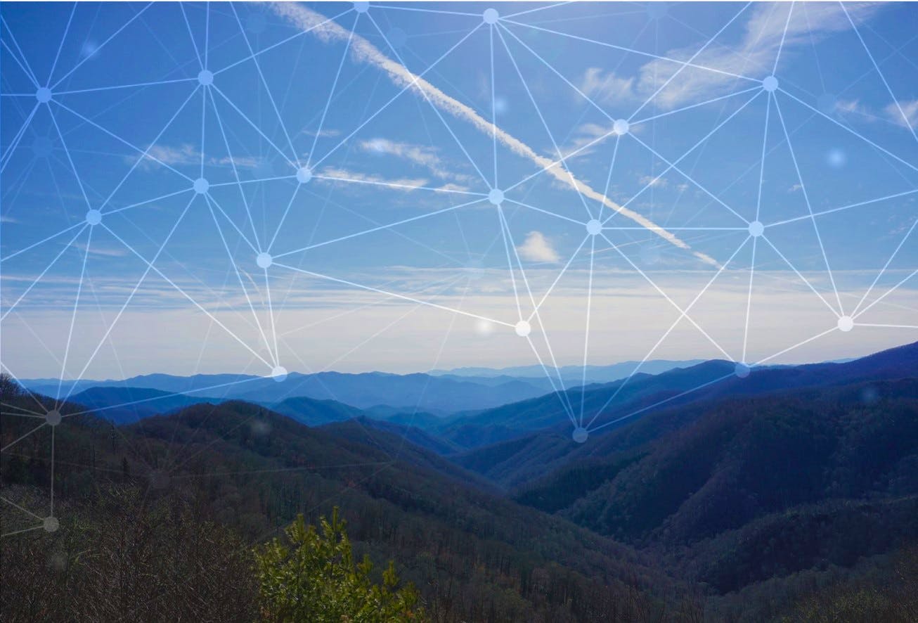 Machine learning automates conservation