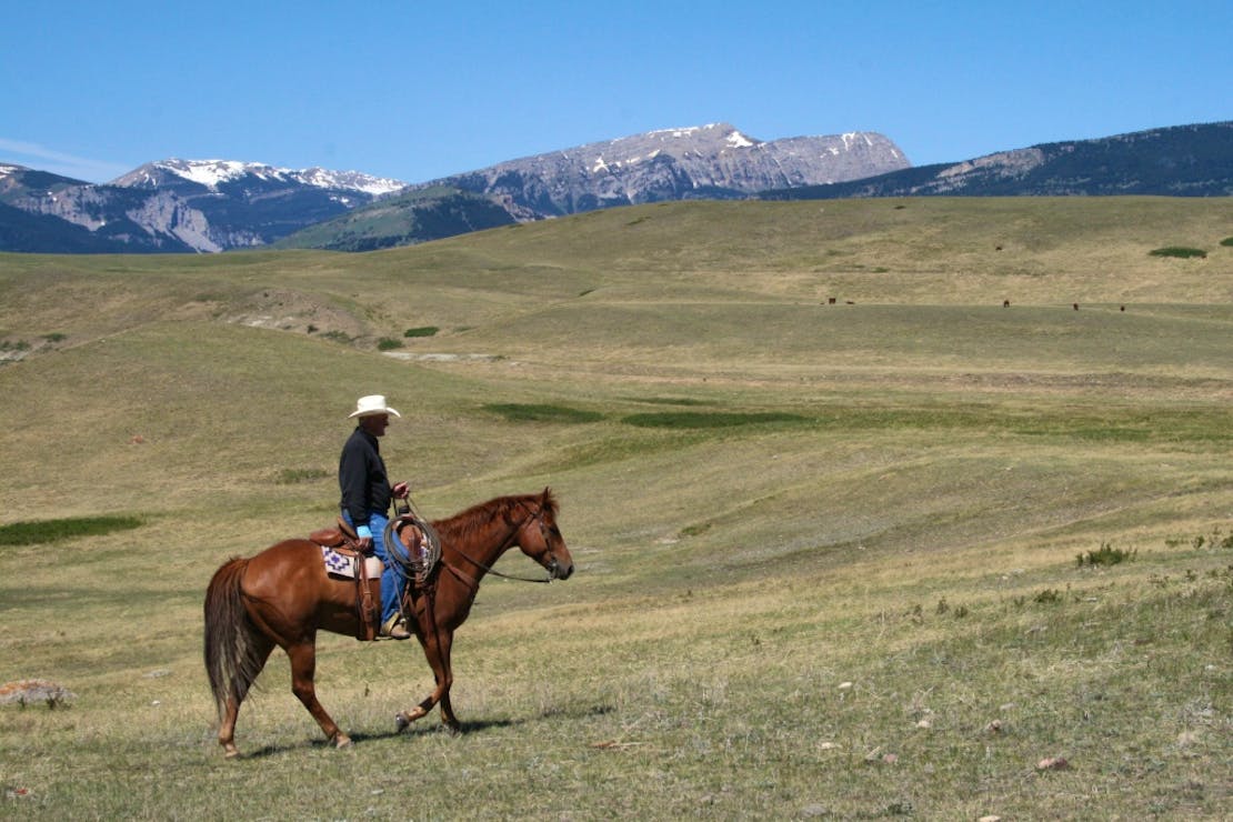 Range rider Montana 