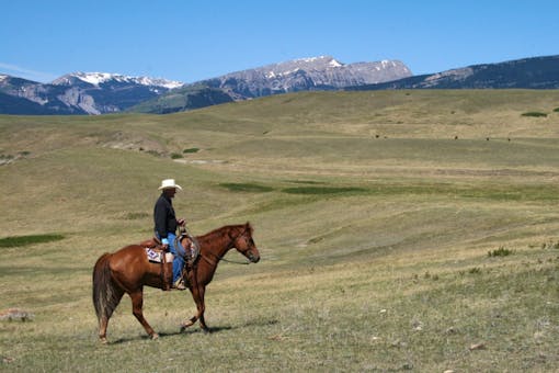 Range rider Montana 