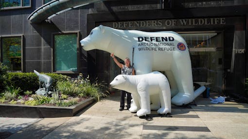 Jamie with polar bears thumbs up in front of HQ