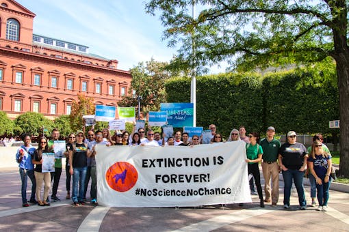 Climate Strike DC - Defenders Staff with Banner