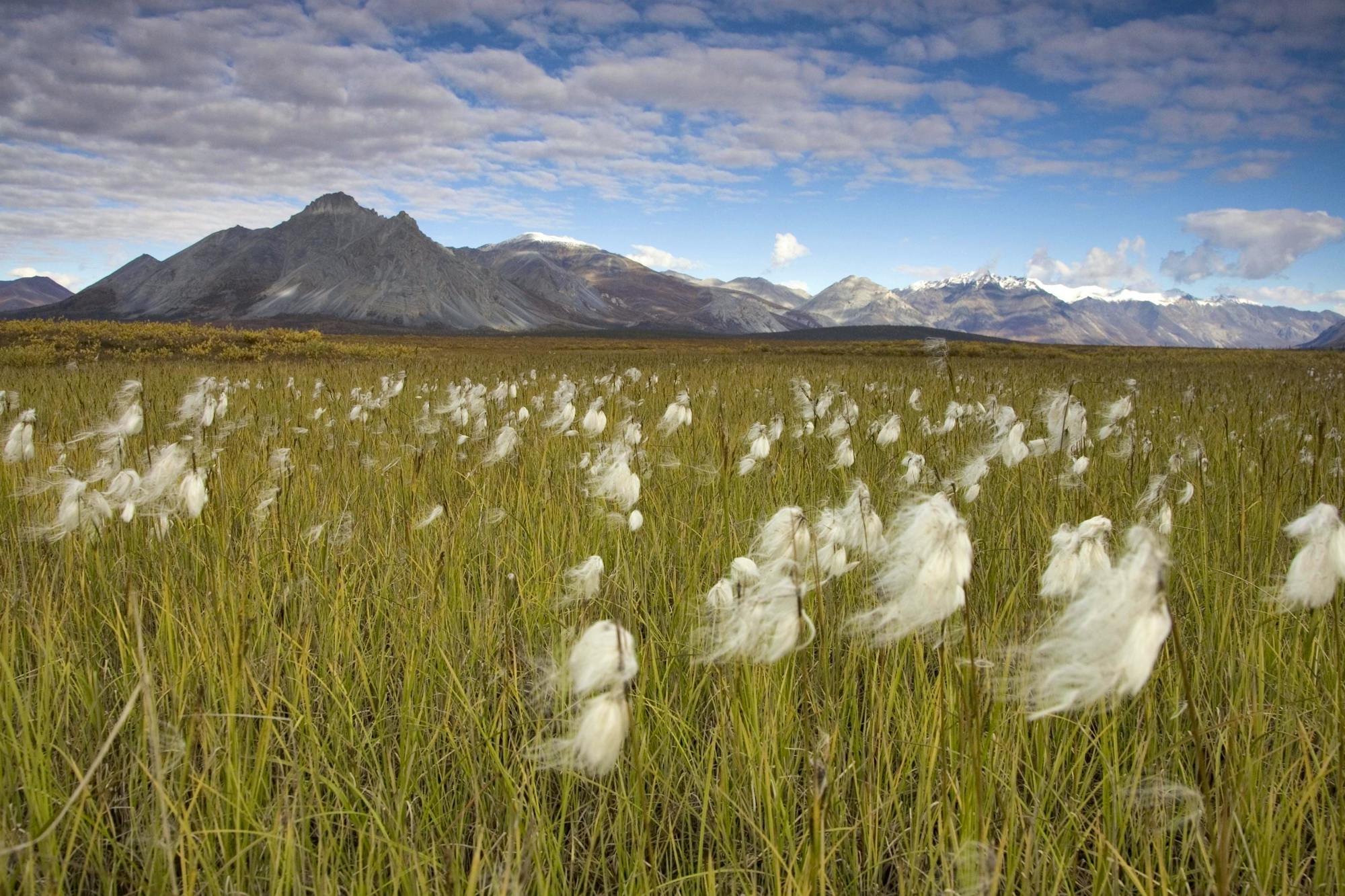 Arctic National Wildlife Refuge