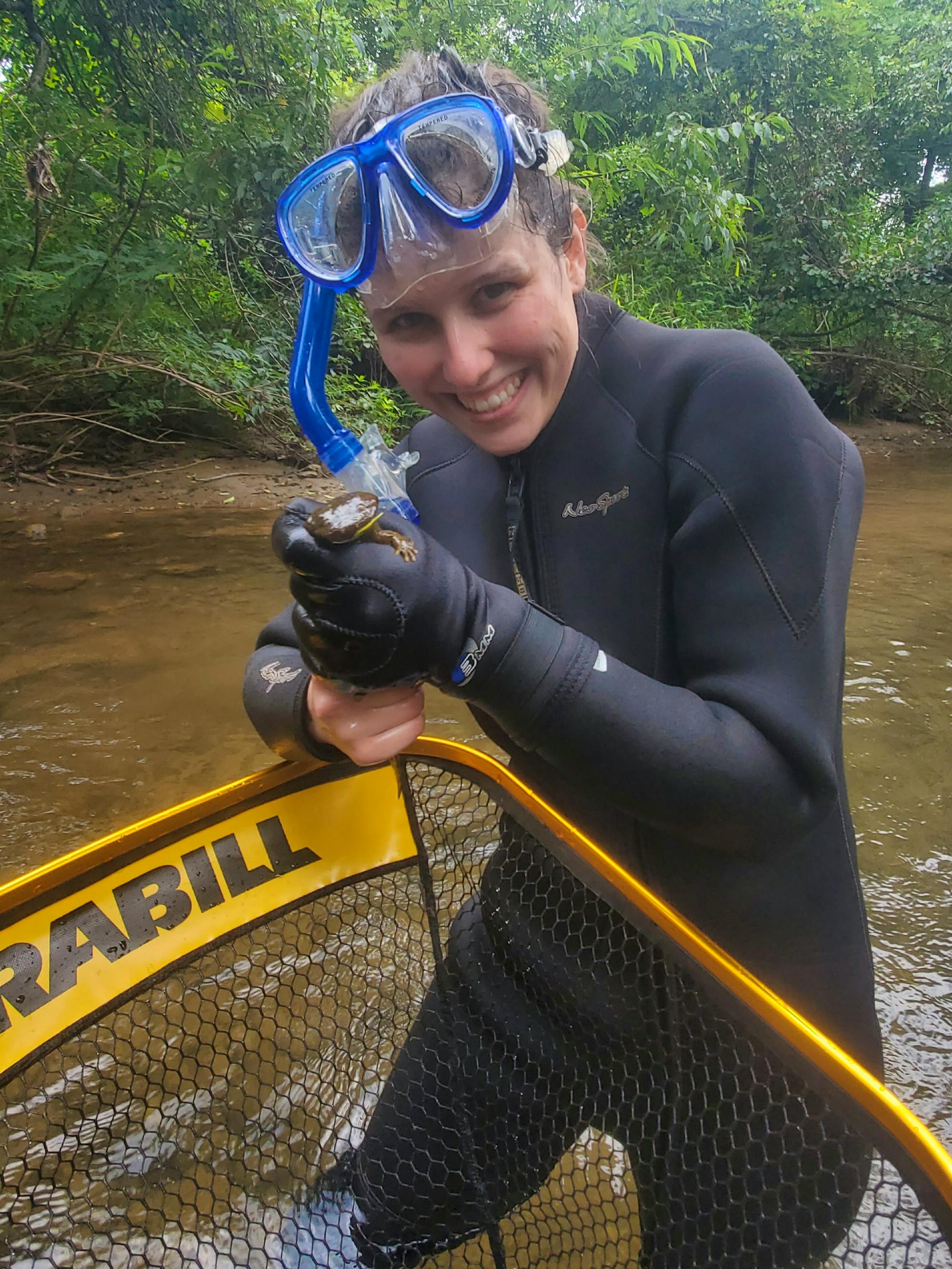 Hellbender survey