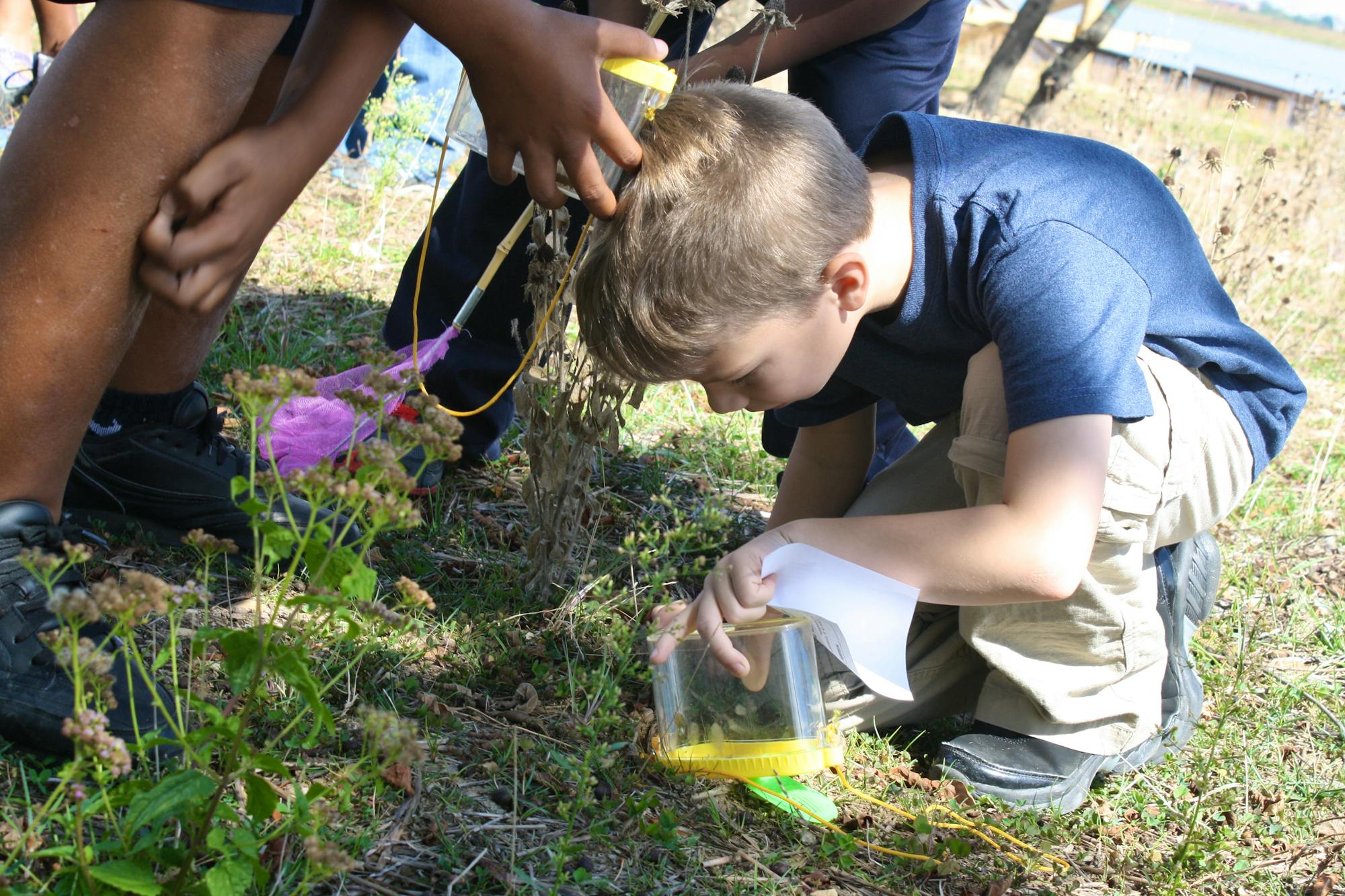 Masonville Cove Urban Wildlife Refuge Partnership kid